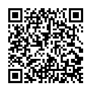 仰着一张嫩绿色的清秀小脸的童子正好奇满满的看着他二维码生成