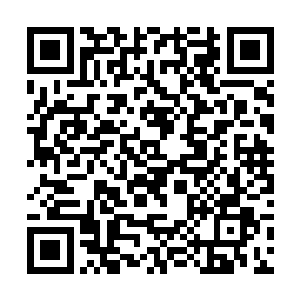 仲华和丁二狗就这样看着曹老蛋给这里这些山民看病二维码生成