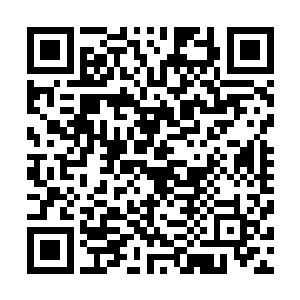 仲华怎么会相信在以后的常委会上李德荣会为政府这边说话二维码生成
