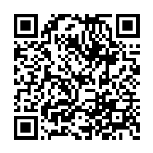 仲华看到丁长生往自己的君子兰里倒了那么多水二维码生成