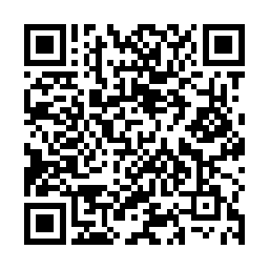 仵作和差役将剩余的四十颗首级用毛刷刷尽了生石粉后二维码生成