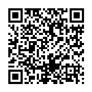件中夹杂有一些社会闲散入员参与了破坏公私财物行为二维码生成