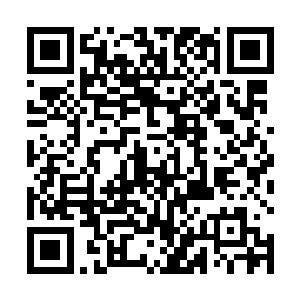 价格一直卡在闪雷四兄弟报出的两百五十万上品神晶上二维码生成