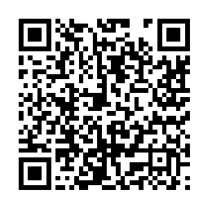 任何一个人都能够单独挑战阳江这个天尊初期巅峰二维码生成