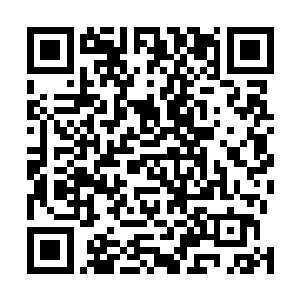 任何一个族类越是发展到后来越会需要这么一份精神支柱二维码生成