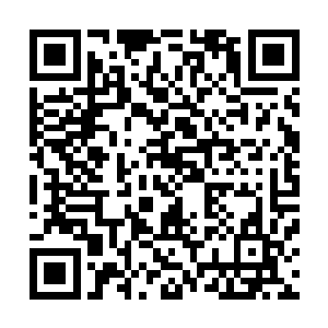 任何一个正常人看到一个曾经高傲的天才失去了所有的光环二维码生成