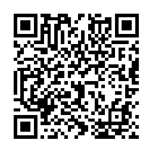 任何一个直系血脉弟子的婚事都要通过族内长老的同意二维码生成