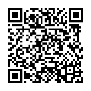 任何一个魔族在他眼中都不配再享有半点的慈悲二维码生成