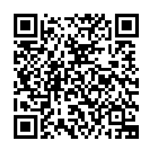 任何一位铭文境九层巅峰的修士都会有很长一段时间的闭关期二维码生成