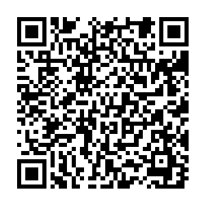 任何一条神龙都可以轻易的借助自己的力量来帮助小胖渡过这道难关二维码生成