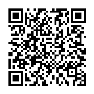 任何一条龙被封印了那么长时间的龙都会犯同样错误的二维码生成