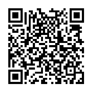 任何一间和大梦合作的公司都发自内心地愿意相信二维码生成