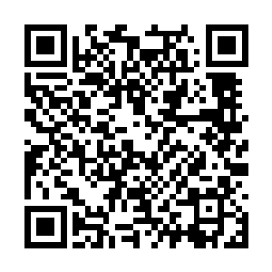 任何修为在无极境七重天以下的强者承受了这一击二维码生成