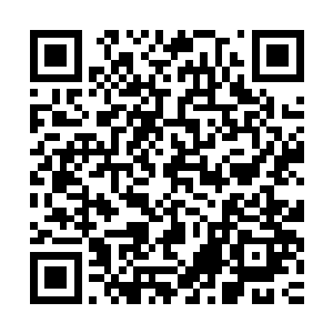任何医术高明的大夫都需要经过时间的磨砺和无数次临床的考验二维码生成