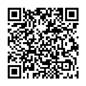 任何因为觊觎寒光之握而出现在圣光城东北部的传奇强者二维码生成