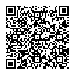 任何在这段时间内告知受影响者的指令都会被其在麻痹结束之后尽可能完美地完成二维码生成