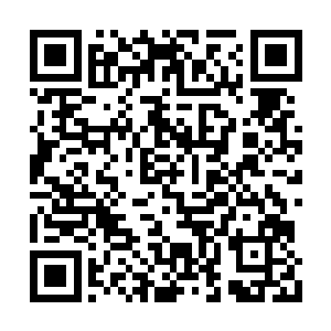 任何战争的胜利都是士兵们用鲜血和生命换来的二维码生成