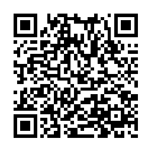 任何执念任何悲苦……不会因它们而改变的真相二维码生成