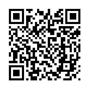 任何植物种到这里都会事半功倍的二维码生成