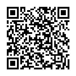 任何武者都只能够探索极阴之地很外围的一小部分二维码生成