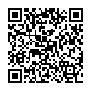 任何比自己学习好的学霸级人物想要尝试耽误学习的事情二维码生成