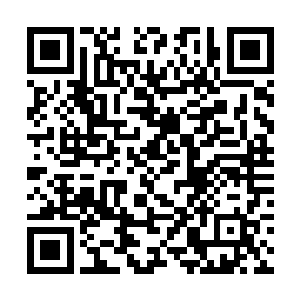 任何的敌人洪大力对付起来都绝对不会有任何的问题二维码生成