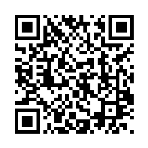 任何的驯兽都是有驯兽师自己的秘密的二维码生成