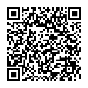 任何见不得光的利益交易都可以通过香港这个自由国际港来得到漂白淡化二维码生成