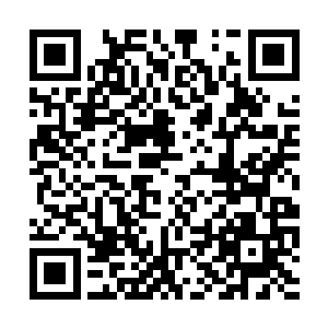 任何触碰到这道屏障的东西的速度都会大幅度降低二维码生成