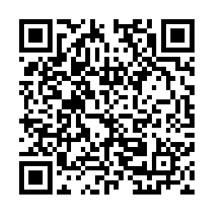 任凭手中残留的瓶渣还有散发着古怪气味的液体从手中落下二维码生成