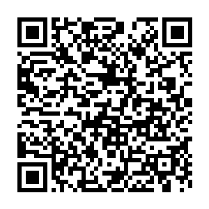 任凭谁恐怕都没有想到当红超级大明星赵菲菲居然会做这种事情吧二维码生成