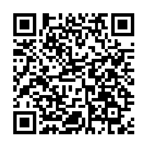 任务更新通知激活小飞飞~~若是在一小时内无法爬上种苗二维码生成