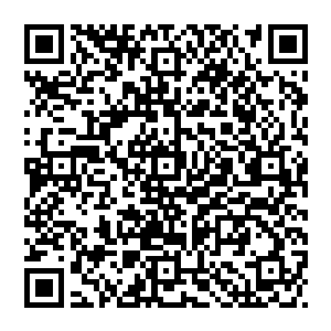 任劳任怨……她敬自己爱自己维护自己和自己所有的一切……可是可是为什么当时自己竟然没有觉察到这一切二维码生成