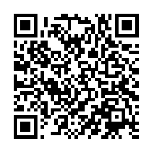 任原主多么的卑微乞怜也得不到她们丝毫垂怜…可是现在二维码生成