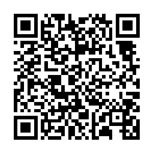 任哪个部落的族长走掉了将近一半的族人都会跟他有同样的感受二维码生成