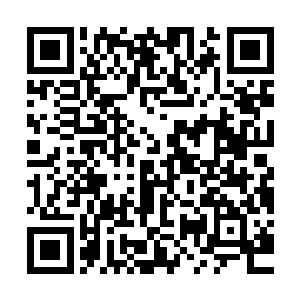 任山雨在内十数人是最后一拨从北凉秘密潜入金字山的北凉鹰犬二维码生成