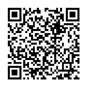 任山雨在北凉豢养的江湖人物中只算堪堪二流人物二维码生成