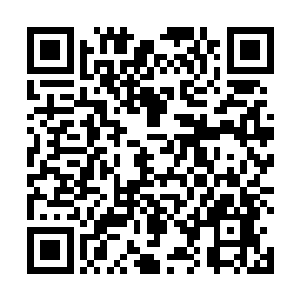 任琦宁自然也一眼就看到了那人流中格外出众的几个人二维码生成