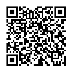 任由他们想破脑袋也不知道这池佳一怎么会成为教主的二维码生成