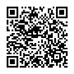 任由李耀的怒焰在它胸口刺破一道触目惊心的伤口二维码生成
