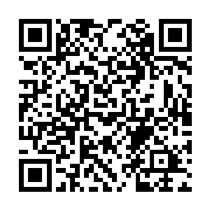 任由柳白龙秘法血色冰花的呜咽哭泣之声干扰冲击二维码生成