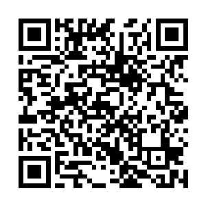 任由那些在清明中露出的血淋淋的触手缩回了血色之中二维码生成