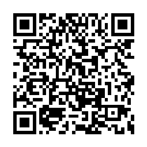 任由那些攻击一丝不落的攻击到林辉轩身体深处二维码生成