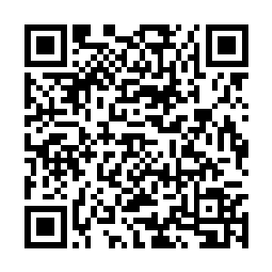 任谁也不希望在即将得到龙骨的最后关头被人搅局二维码生成