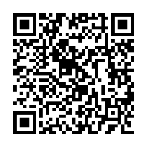 任谁也无法想象一位对人神境露出恭敬姿态的人二维码生成