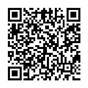 任谁也无法想象这是十多岁的女孩子对同龄人的室友能做出的事二维码生成