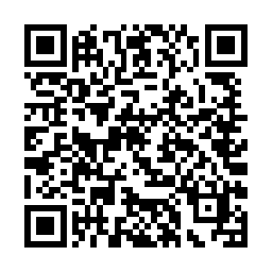 任谁也没有想到一个仙王会如此干脆地击倒一个仙皇二维码生成