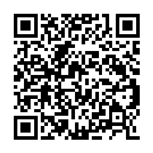 任谁在面对一个修为远高于自己的老妖婆的时候二维码生成