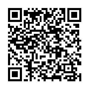 任谁舍得让自己老婆出面去为自己的官位做出牺牲呢二维码生成