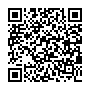 任谁都知道这个身形瘦弱的大巫师不是个好惹的家伙二维码生成
